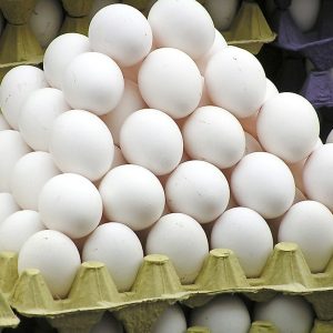 30 Piece Egg: High- Quality